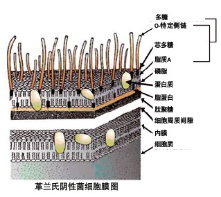 PURELAB flex^V(ni)ءRNaseDNaseͼ(x)