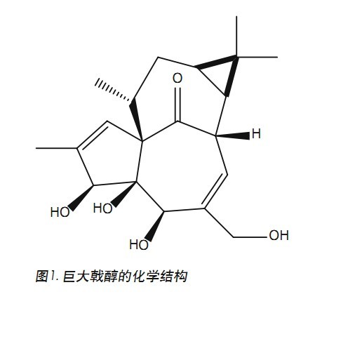 D1.޴ꪴWY(ji)(gu)