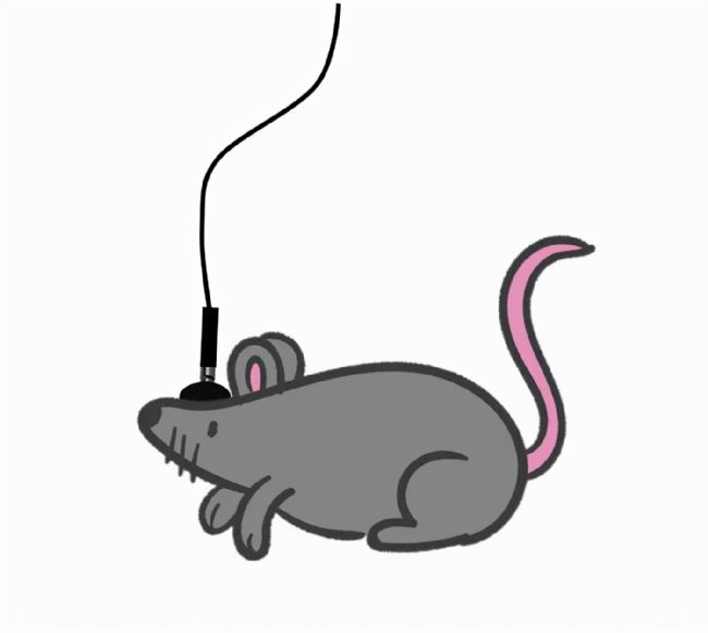 xwӛ䛌ĺĲ_Чʵ̖ݔ