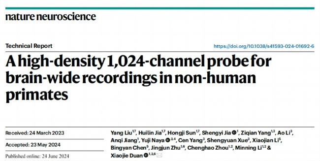 NatureӿBrainsight܄gCˎƌWҌF(xin)JȫX(jng)ӱO(jin)y